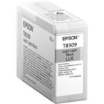 Epson T850900 ink cartridge 1 pc(s) Original Light light black